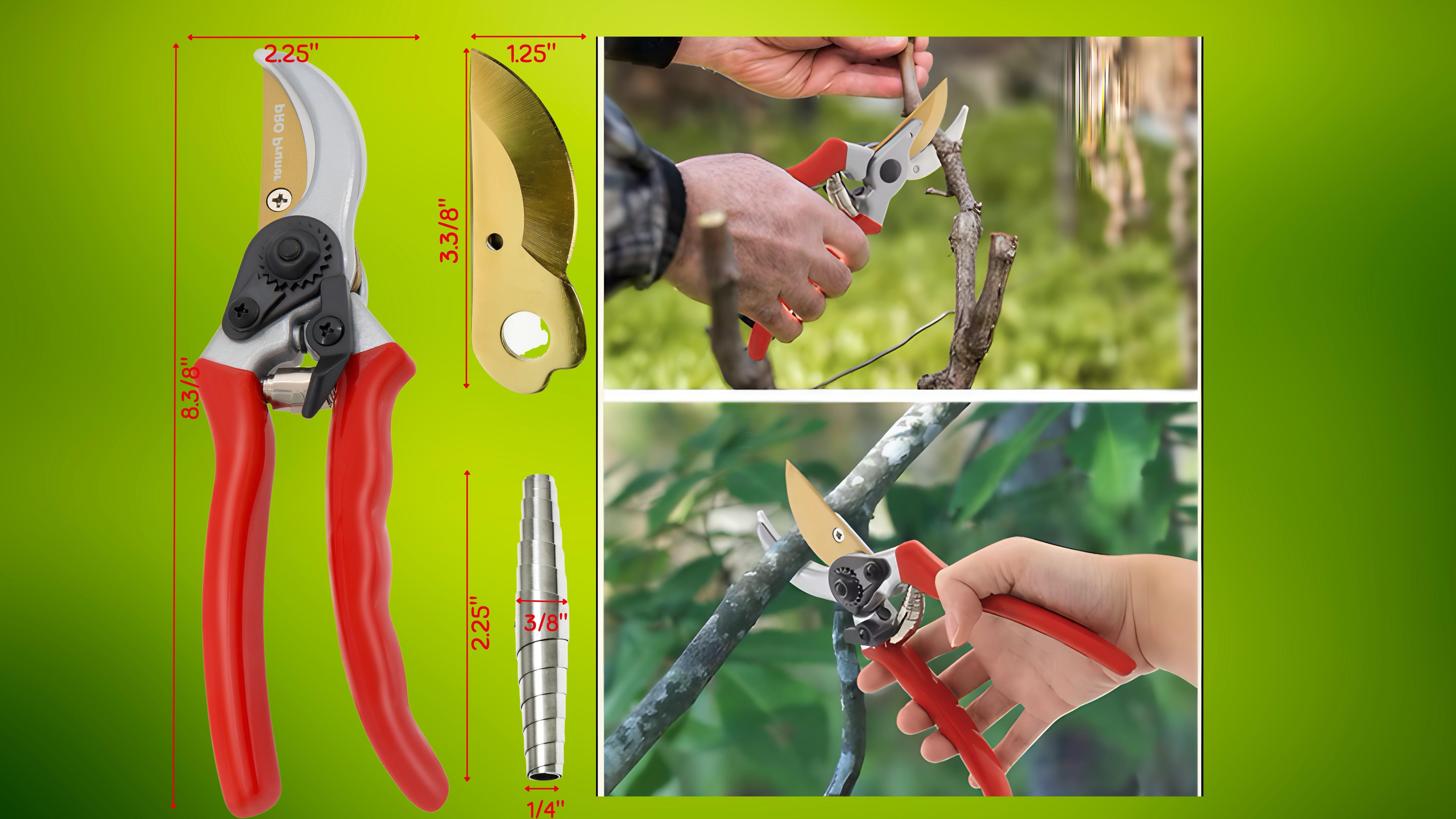 People on Google Ask Questions about Garden Pruners